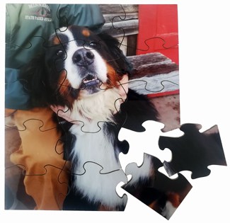 Photo puzzle of loving dog